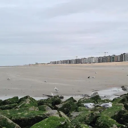 Near Belgian Coast With Sea View, Cleaning Included 아파트 코크시데