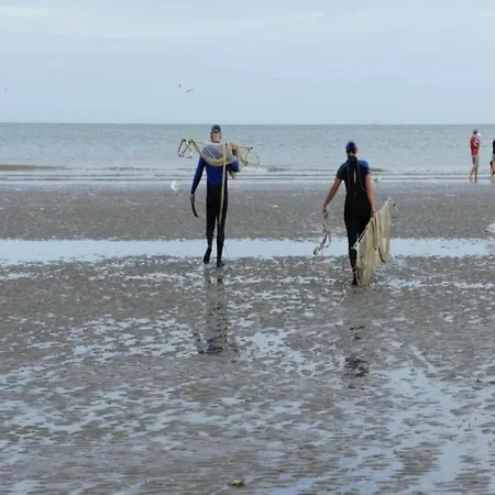 Near Belgian Coast With Sea View, Cleaning Included Koksijde