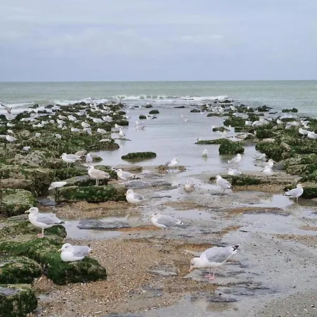 Διαμέρισμα Near Belgian Coast With Sea View, Cleaning Included *