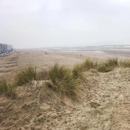 Near Belgian Coast With Sea View, Cleaning Included Διαμέρισμα Koksijde